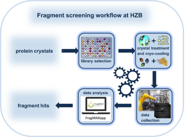 Crystallographic Fragment-Screening, BESSY, Berlin, Germany